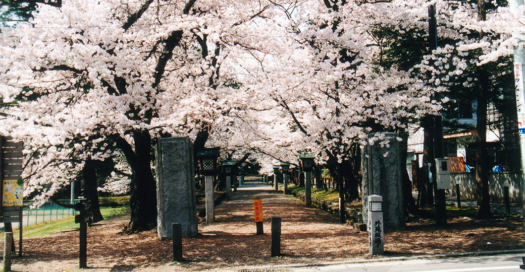 弥彦公園