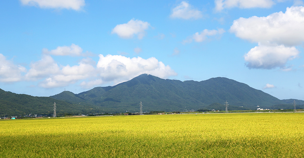 弥彦山